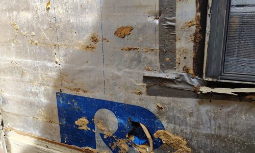 Damaged Siding Removal