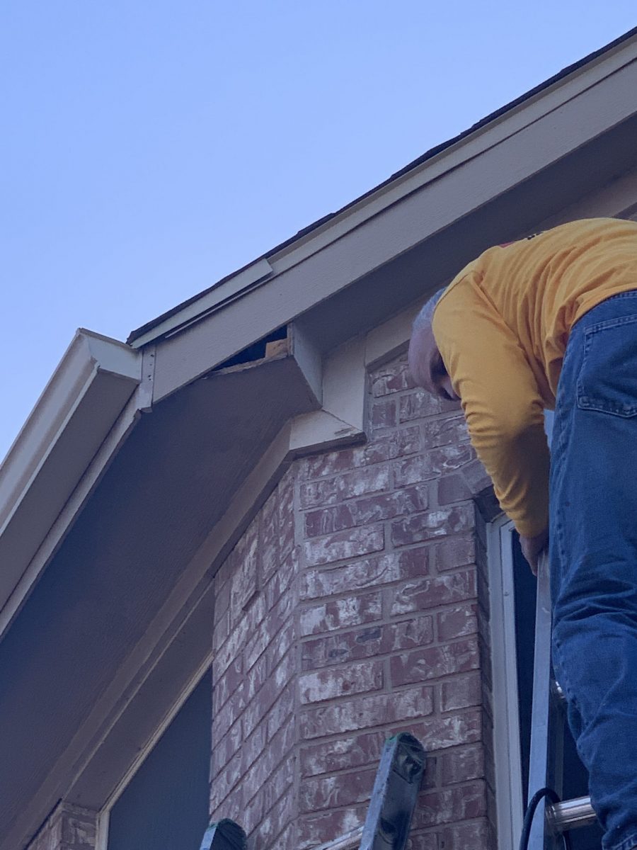 brick home Preview Image 4