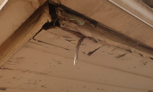 Fascia Rotting