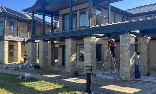 Team in Process of Staining