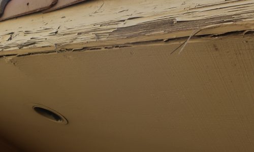 Roof Damage