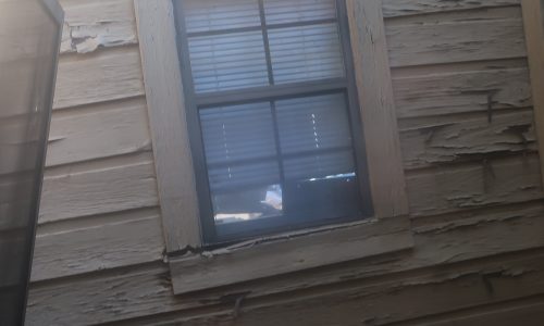 Siding Damage