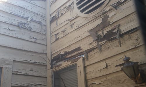 Courtyard Area (Before)