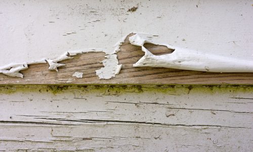 sign you need painting flaking paint