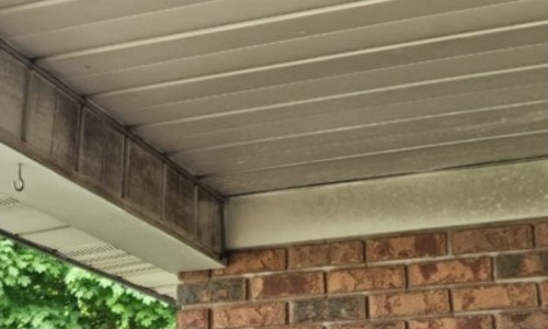 sign you need painting visible mold growth