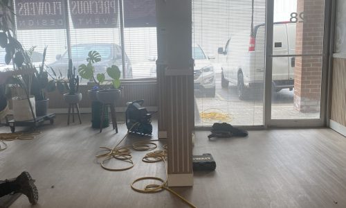 Showroom & Pillar - During