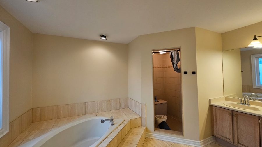 Residential Interior Painting Bathroom Preview Image 8