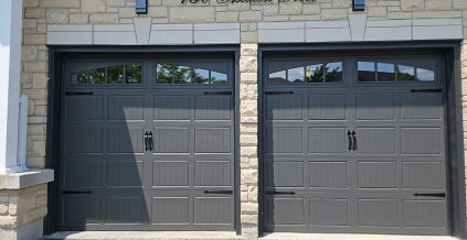 Garage Door Painting