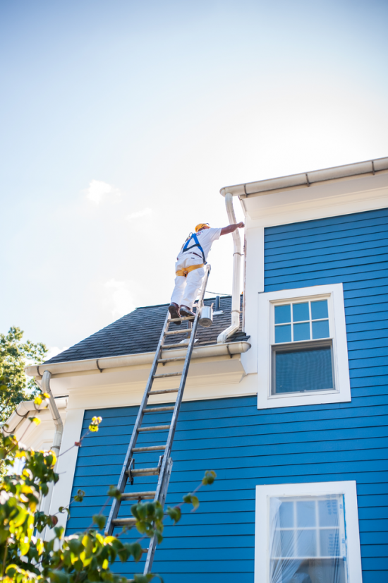 Professional House Painting Services