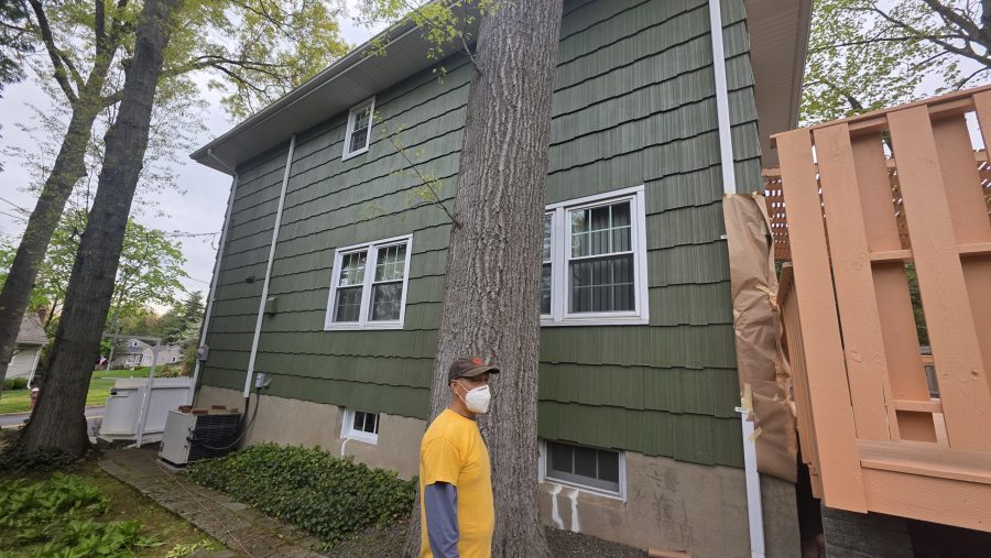 Rear House Exterior Painting Preview Image 5