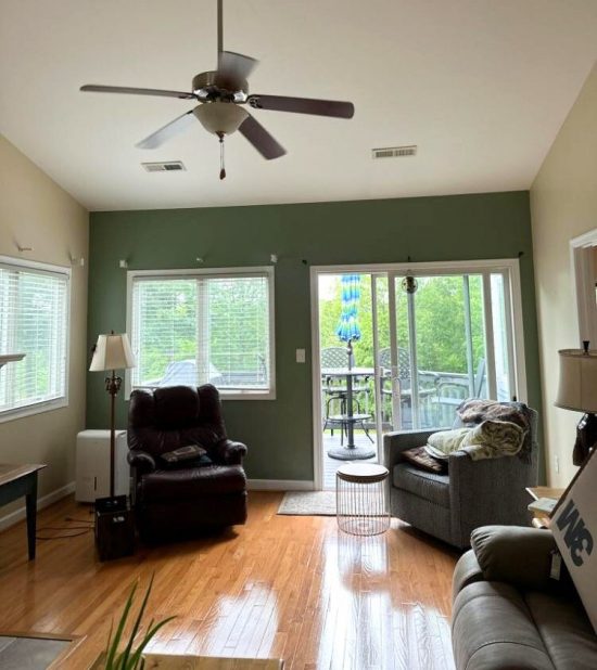 living room painters in Roanoke VA