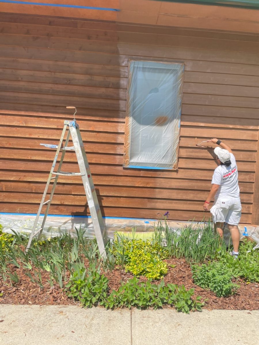 residential house exterior during painting Preview Image 7