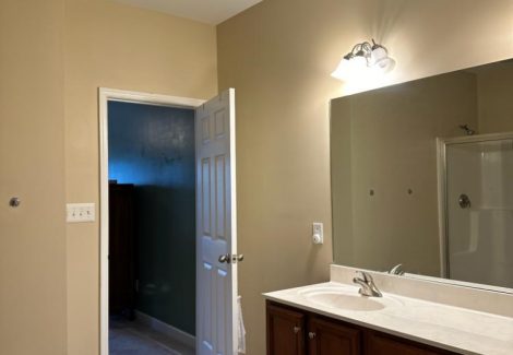 bathroom painting project Roanoke