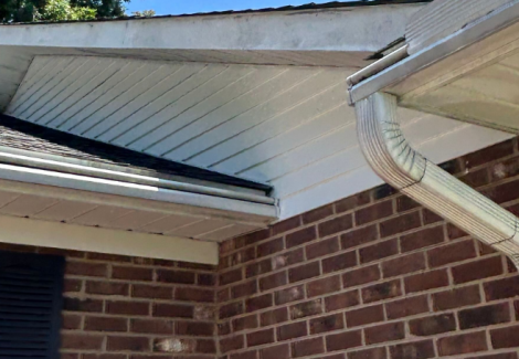 Aluminum Siding Painting Project