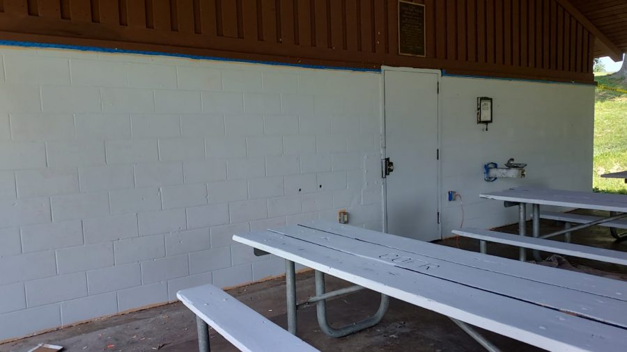 park after painting Preview Image 1