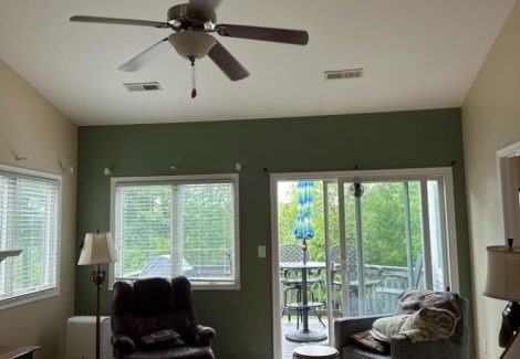 living room painting Roanoke