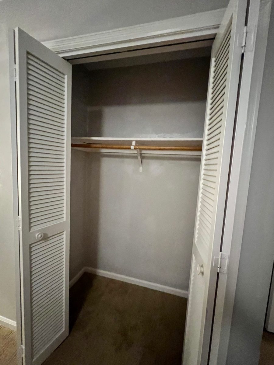 bedroom closet after painting Preview Image 3