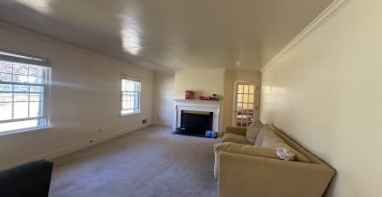 Ceiling Repair and Painting