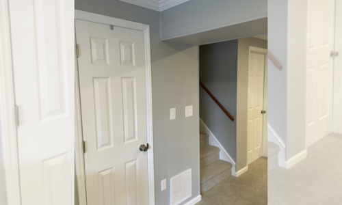 Basement Doors & Trim Painting