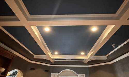 Ceiling and Light Fixture