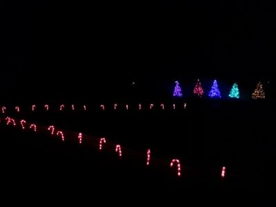 Holiday Lighting services in New York - CertaPro Painters of Rochester Southeast, NY