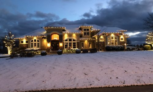 Professional Christmas Installers