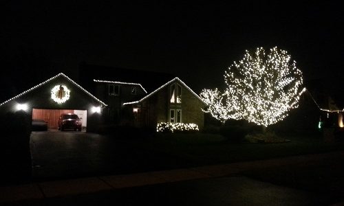 Lighting It - Trees and All