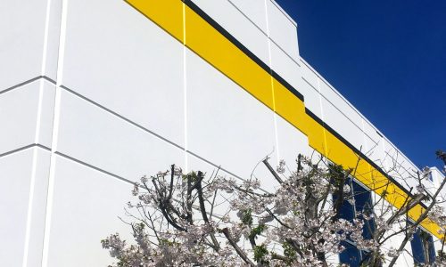 After Branded Painting