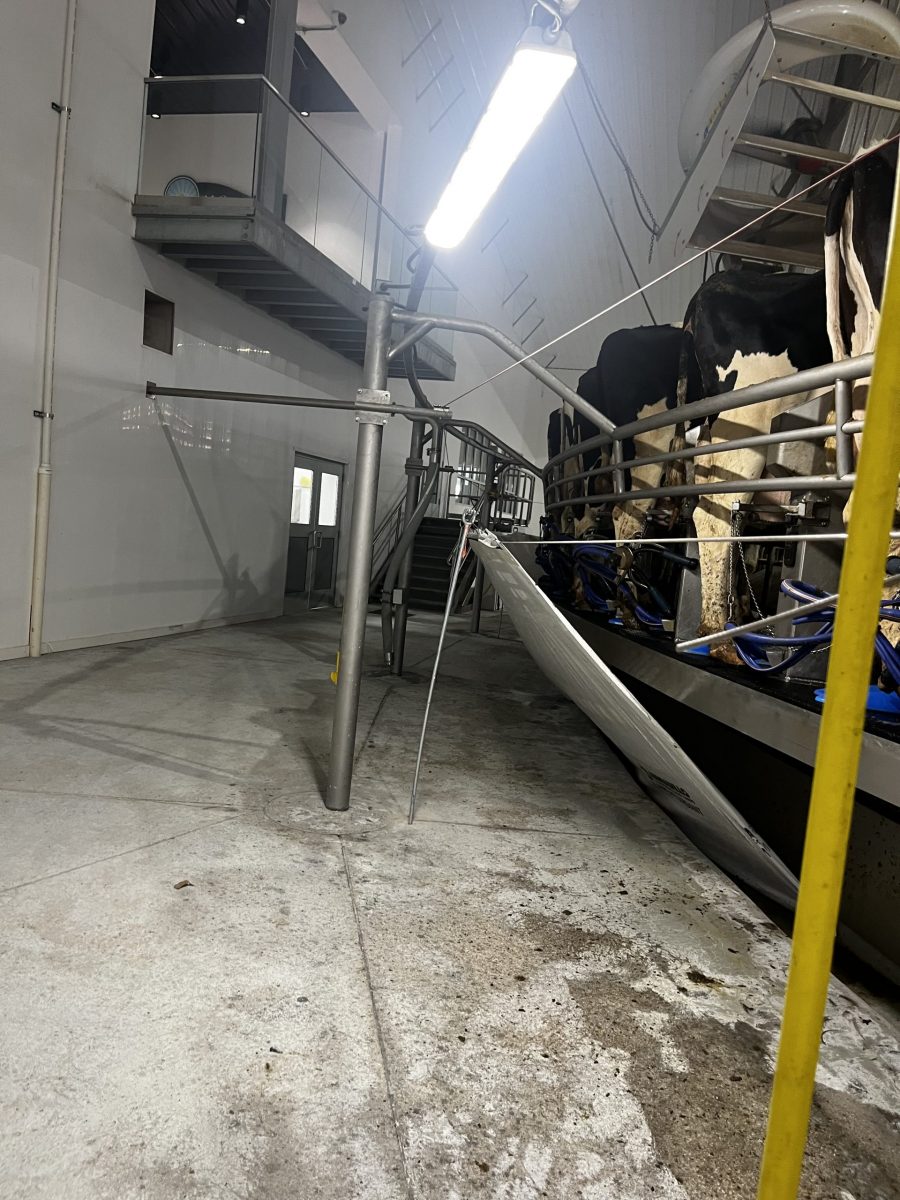 McCarty Farms Commercial Flooring Project floor has been stripped Preview Image 21