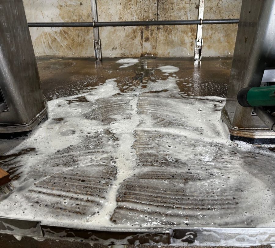 Gill Dairy Case Study during Photo cleaning floors with soap Preview Image 20