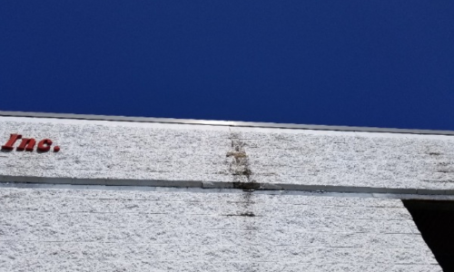 GFL Exterior Refresh Before Photo