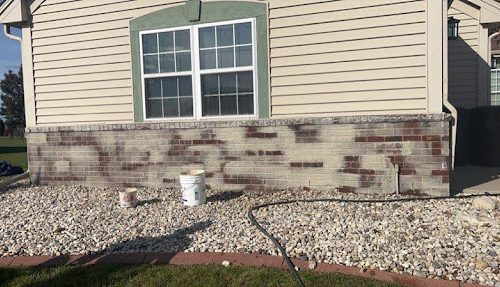 Limewash Case Study during