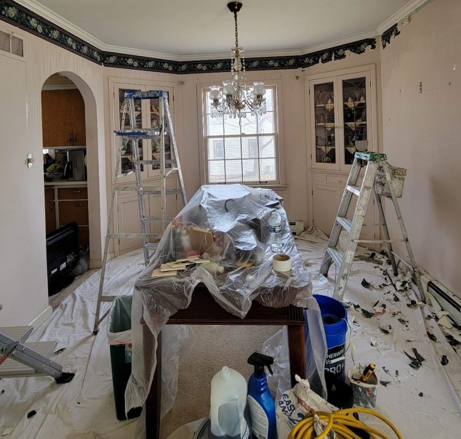 Wallpaper Removal Case Study During Photo Preview Image 17