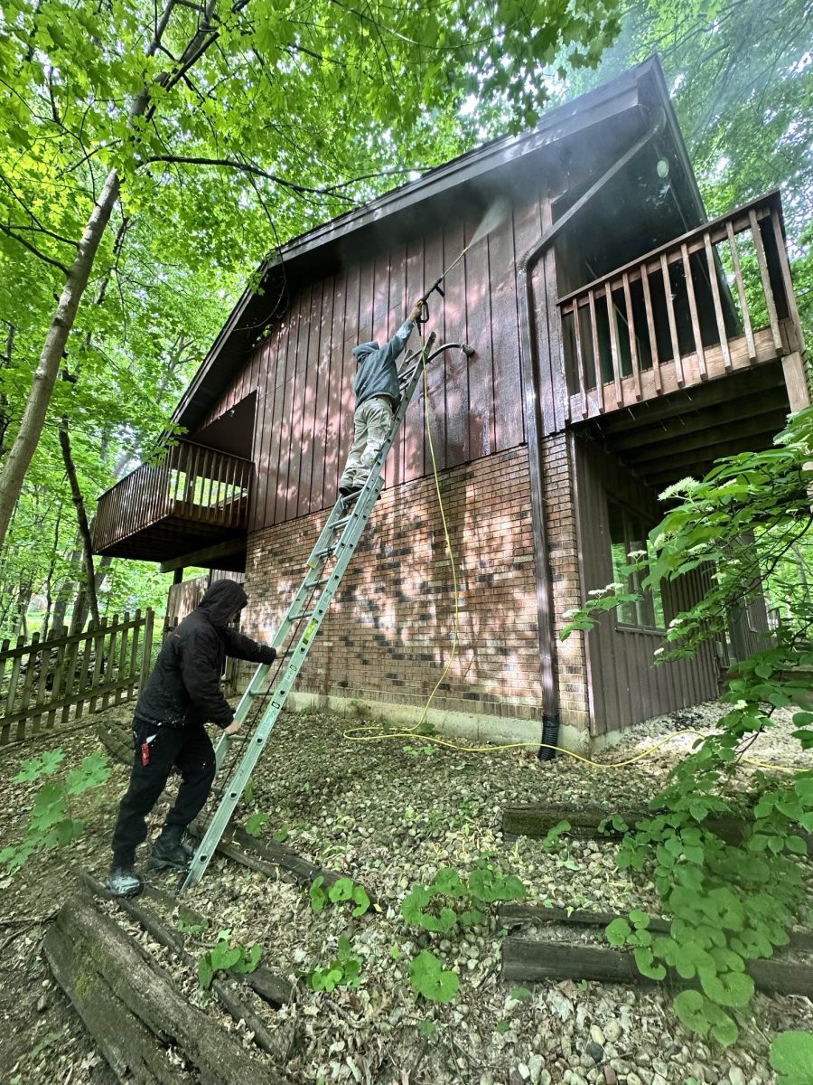 two people with ladder during house repaint Preview Image 4