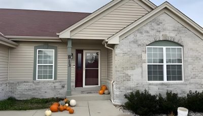 Limewash Case Study Hero