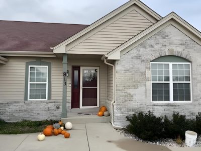 Limewash Case Study Hero