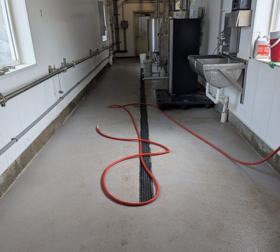 Gill Dairy Case Study Before Photo of prep hallway Preview Image 8