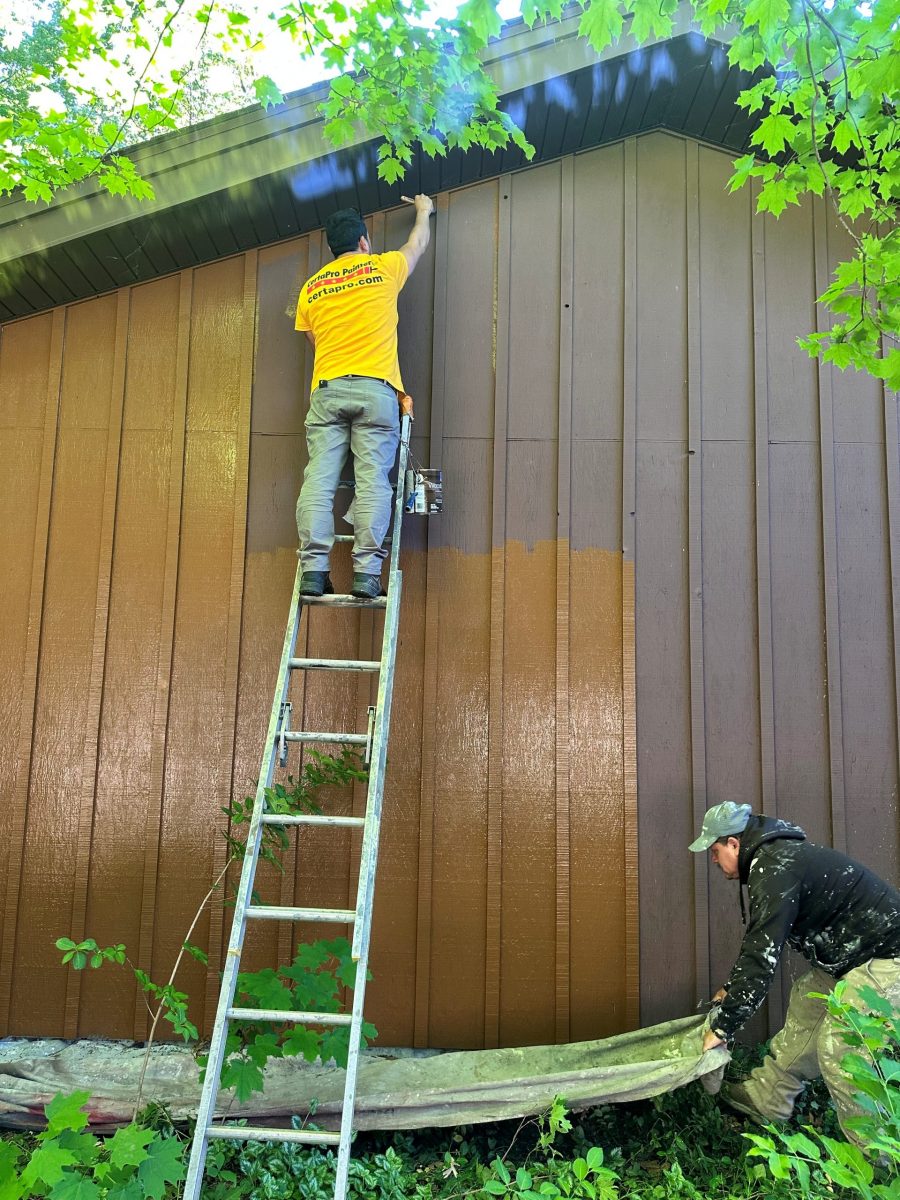 painter on ladder against house Preview Image 6