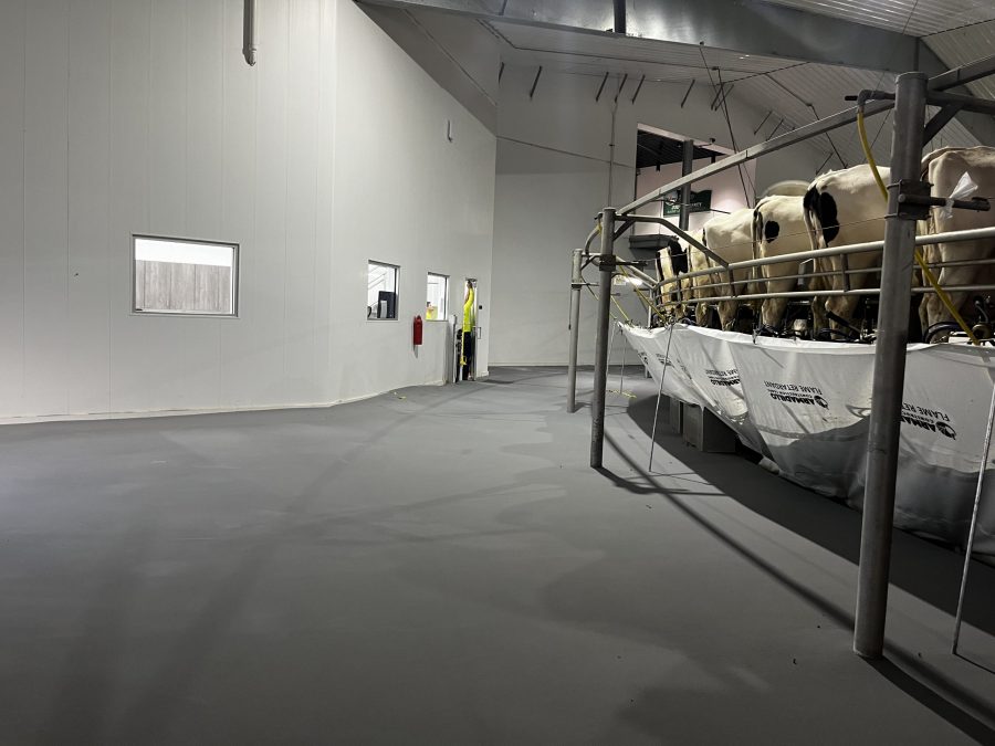 McCarty Farms Commercial Flooring Project after photo of flooring under cows Preview Image 8