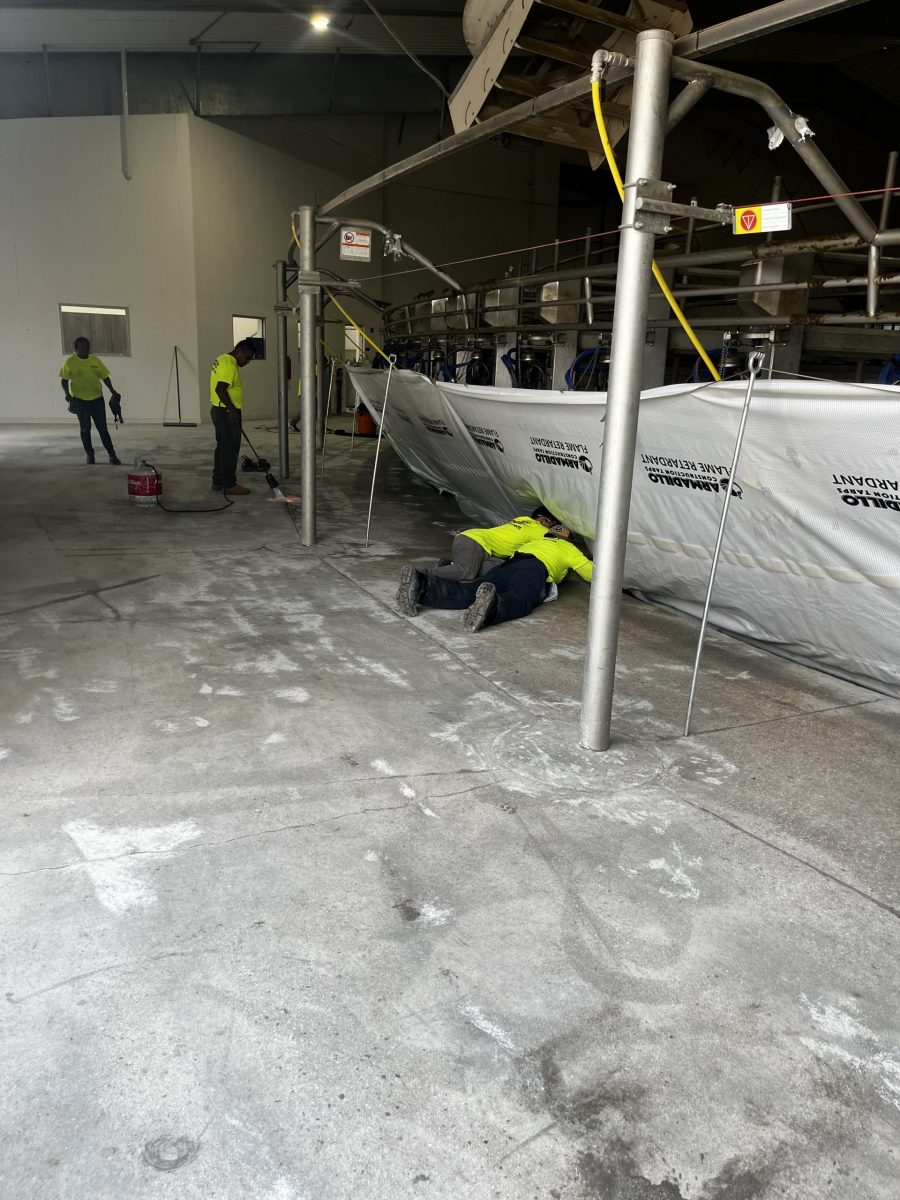 McCarty Farms Commercial Flooring Project under the cows side angle Preview Image 17