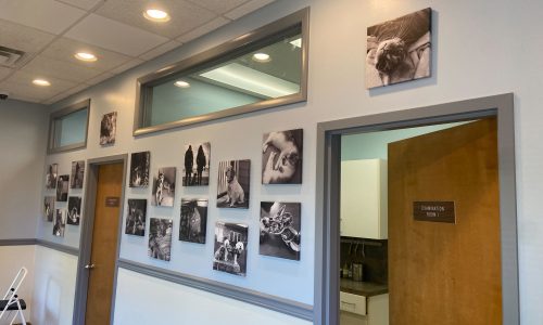 Veterinary Office Interior