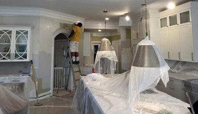New Homeowner Paint Job