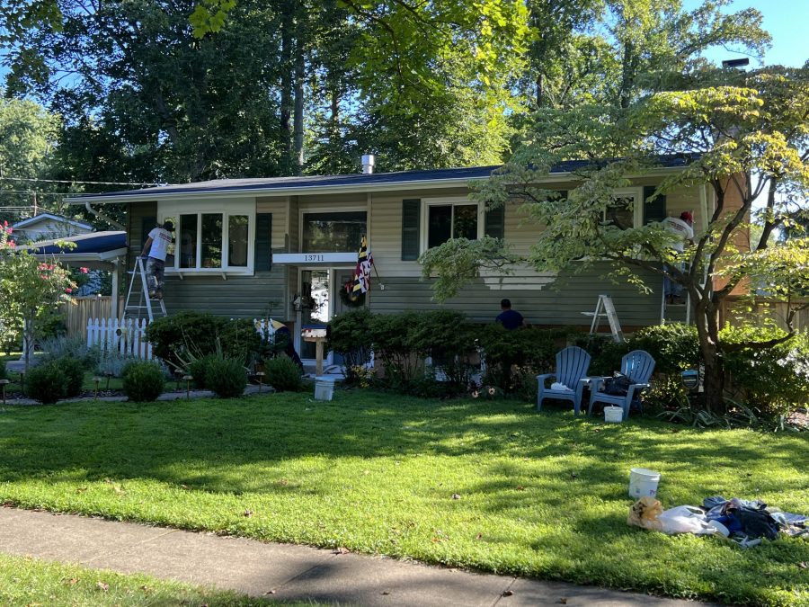 Green Siding Exterior