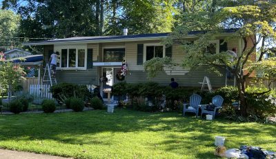 Green Siding Exterior
