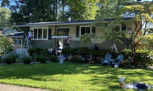 Green Siding Refresh