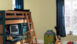 Interior House Painting in Rockwell, TX