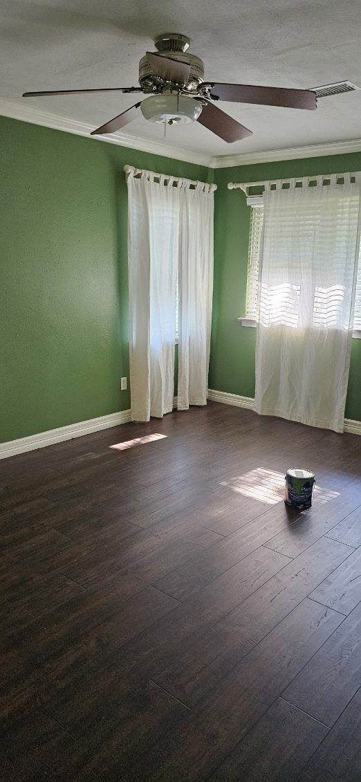 After photo room after painting green walls Preview Image 6