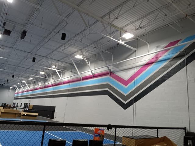 photo of repainted ace pickleball in roswell ga Preview Image 2
