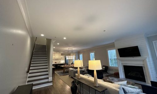 Living Room Painting