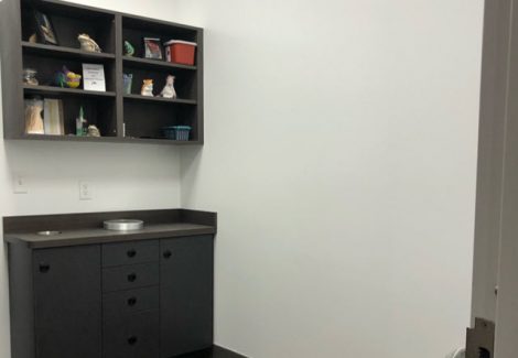 east roswell vet hospital - repainted interior walls
